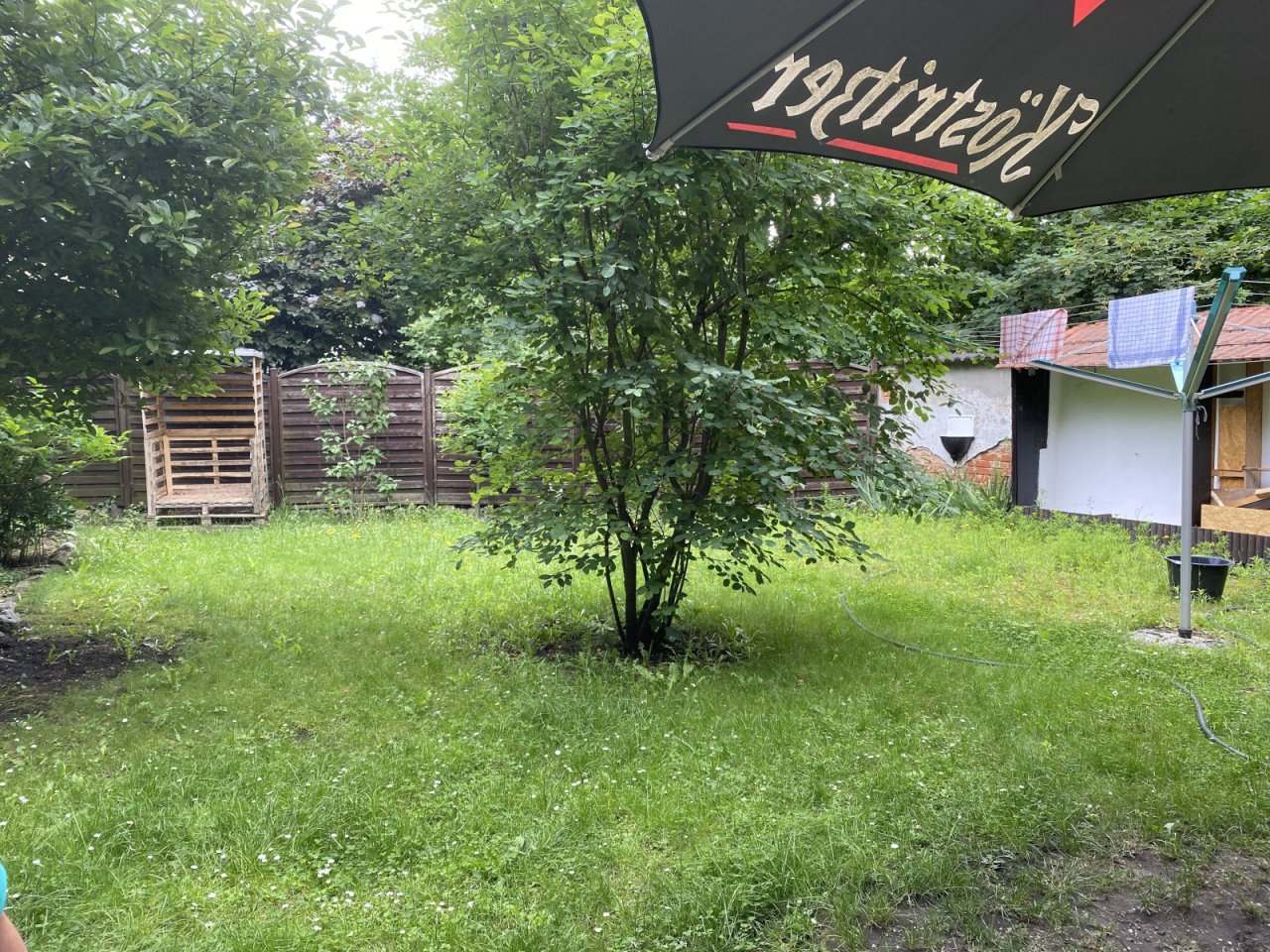 Garten mit Bäumen